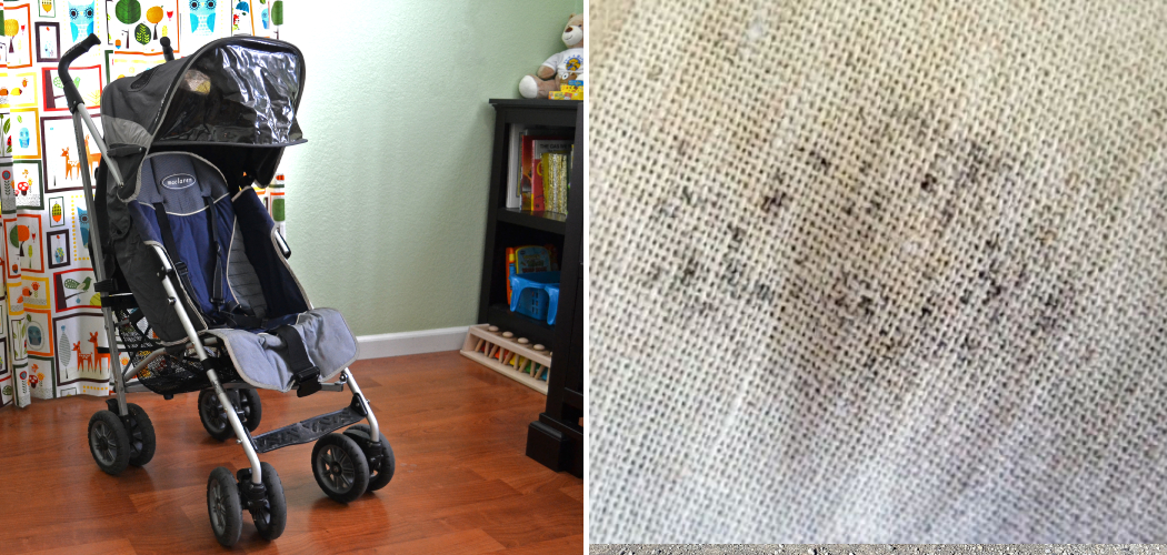 How To Get Mold Out Of Fabric In Stroller 7 Effective Steps