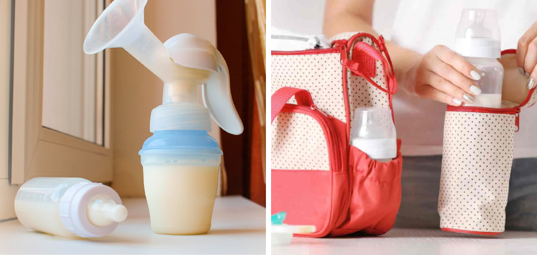 How to Store Breast Milk in Diaper Bag 7 Easy Steps (2023)