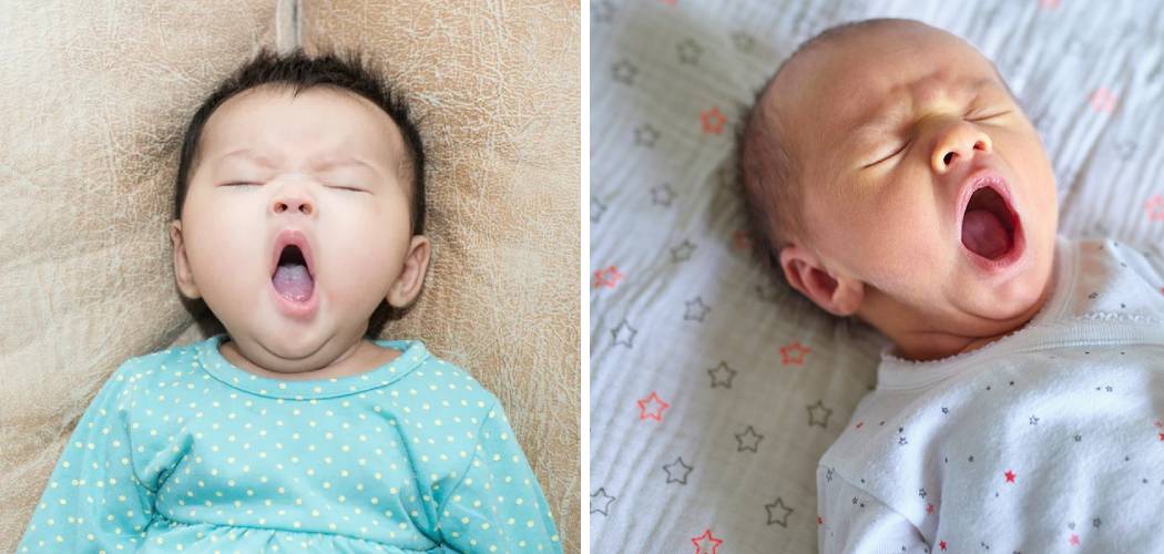 How to Do Drowsy but Awake 10 Easy Ways (2024)